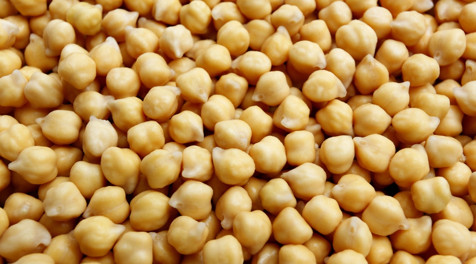 نخود از بهترين حبوبات از ديدگاه طب سنتی سایت رسمی دکتر میرغضنفری